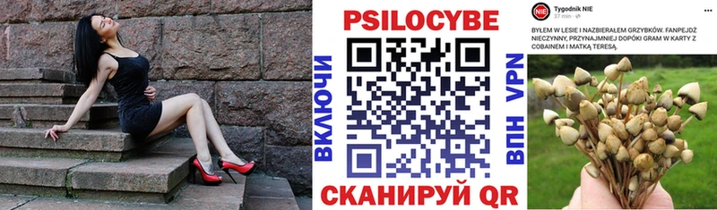 Купить где  Калтан  Галлюциногенные грибы прущие грибы 
